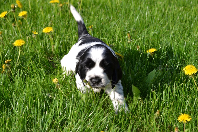 Vrh H a CH 36-Hanny.JPG